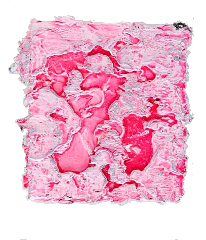 pink gloss 2009
