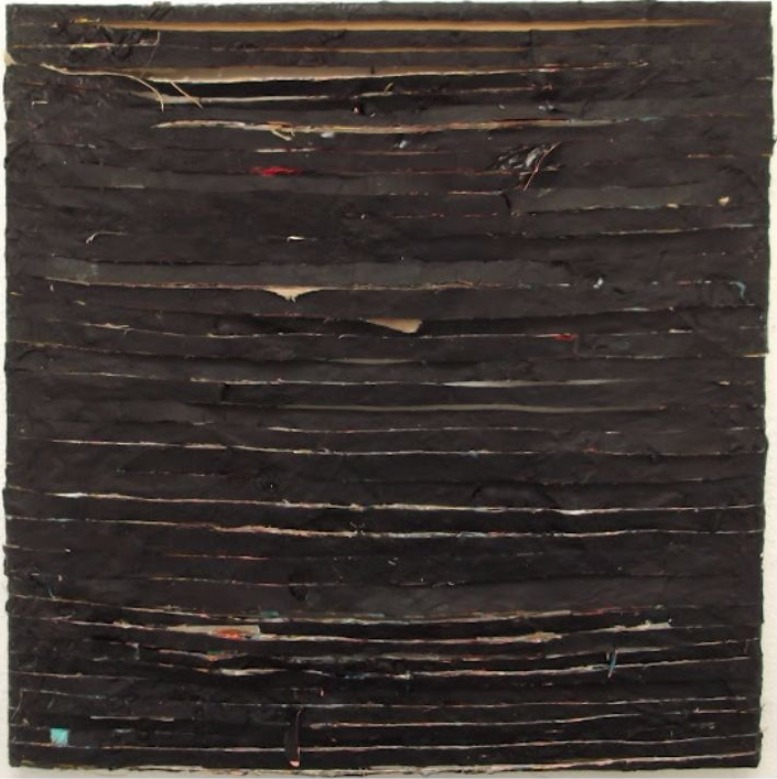 strips black 2012